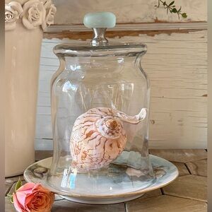 Coastal Seaglass Cloche w/ Antique Limoge Base, Hand Painted Snail & Seashells